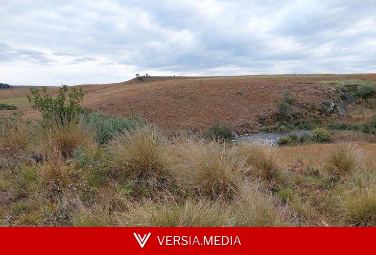 O grande erro da Lei Geral do Licenciamento Ambiental