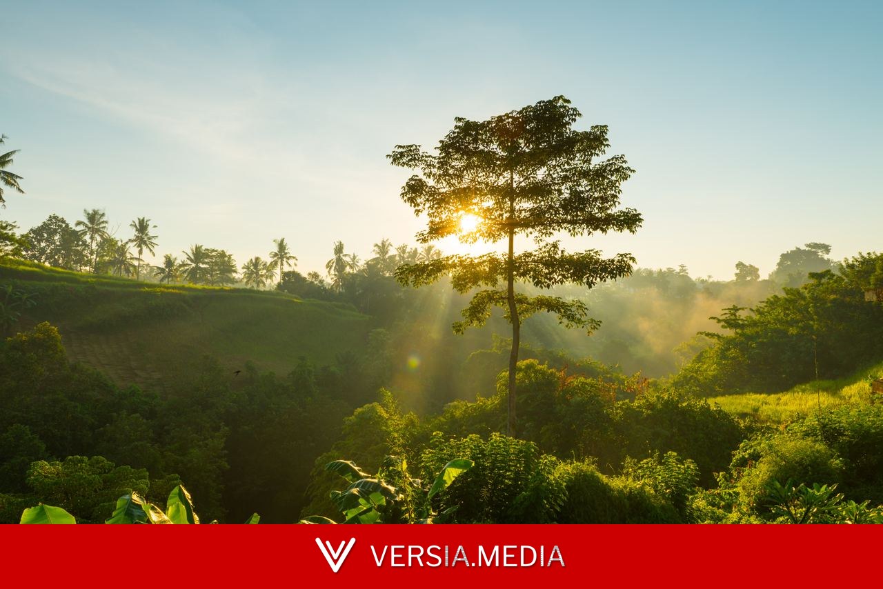 Tributação e direito fundamental ao meio ambiente ecologicamente equilibrado