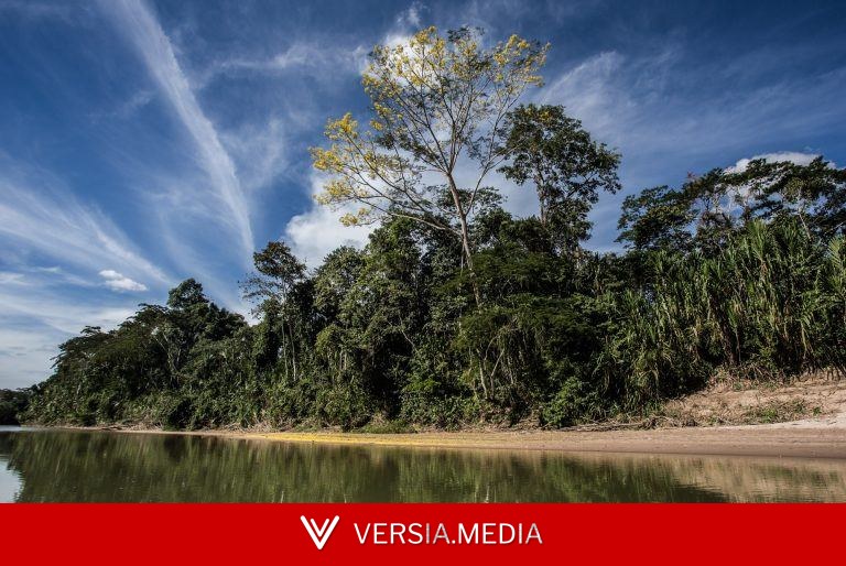 Posse rural em áreas de vegetação nativa e os limites do sensoriamento remoto