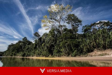 Posse rural em áreas de vegetação nativa e os limites do sensoriamento remoto