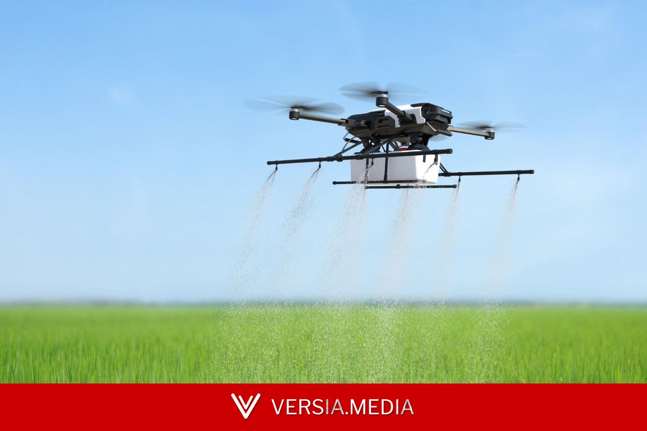 Pulverização irregular de agrotóxicos gera condenação por danos ambientais