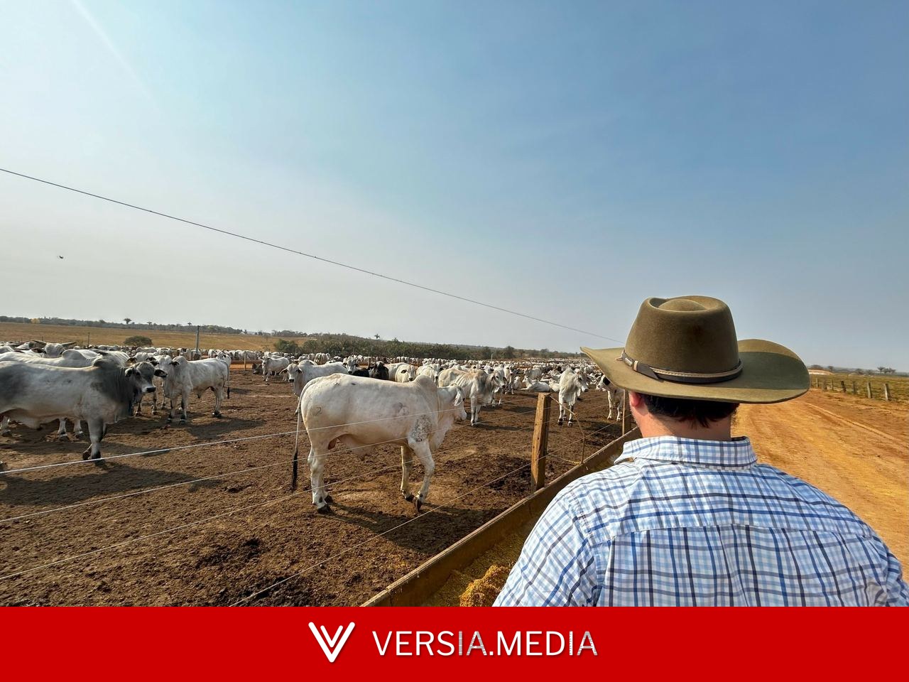 TRT-10 extingue ação ajuizada antes de vencimento de parcela